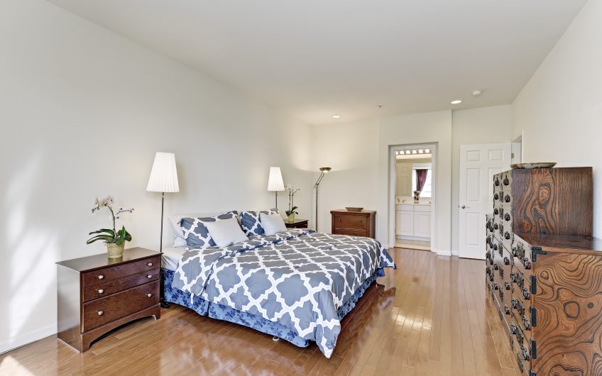 317 CASSELINO DRIVE, SAN JOSE, CA. 95136