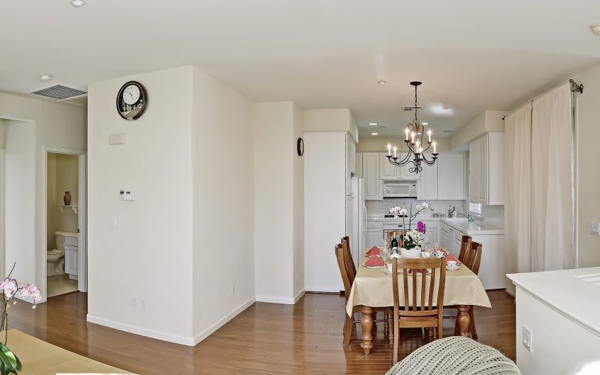 317 CASSELINO DRIVE, SAN JOSE, CA. 95136